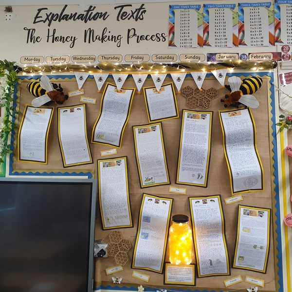 Class 6PP Explanation Texts