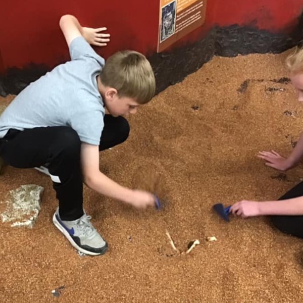 Dig